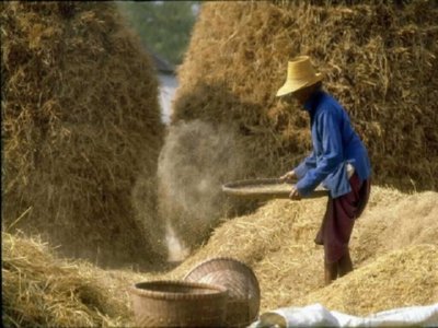 SIEGA (5)  CAMPESINOS